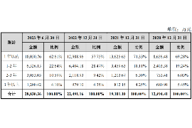 汤旺河要债公司